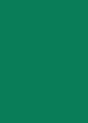 Colorant liquide pour bougie – Vert forêt