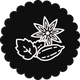 Épices et aromates